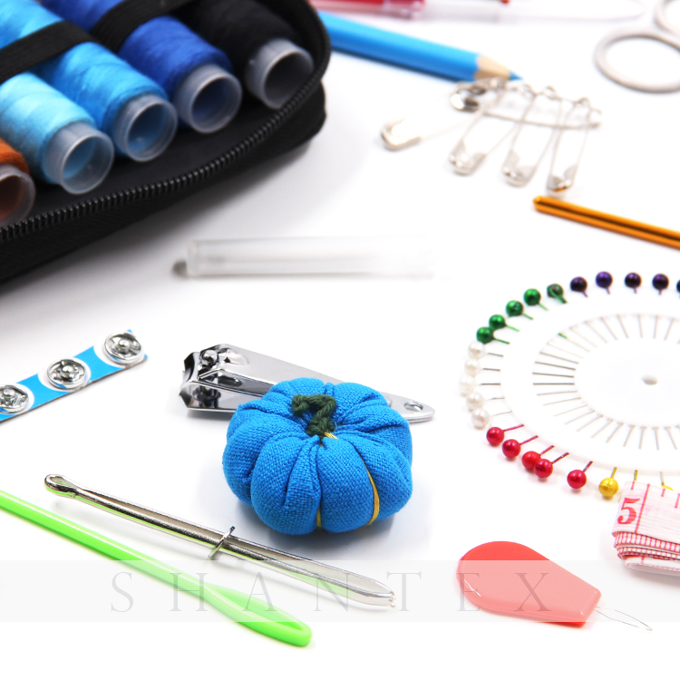 Mini Travel Tool Sewing Kit Box für Erwachsene, Anfänger, Kinder, Reisen, Notfall mit Fashion Bag